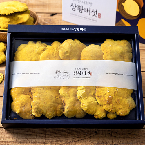 산엔청쇼핑몰,산청장희딸기 350g,500g _우리농원