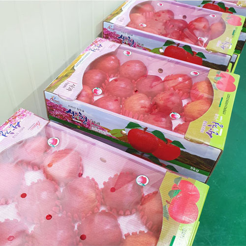 산엔청쇼핑몰,사과(홍로) 5kg/10kg _황매산사과영농조합