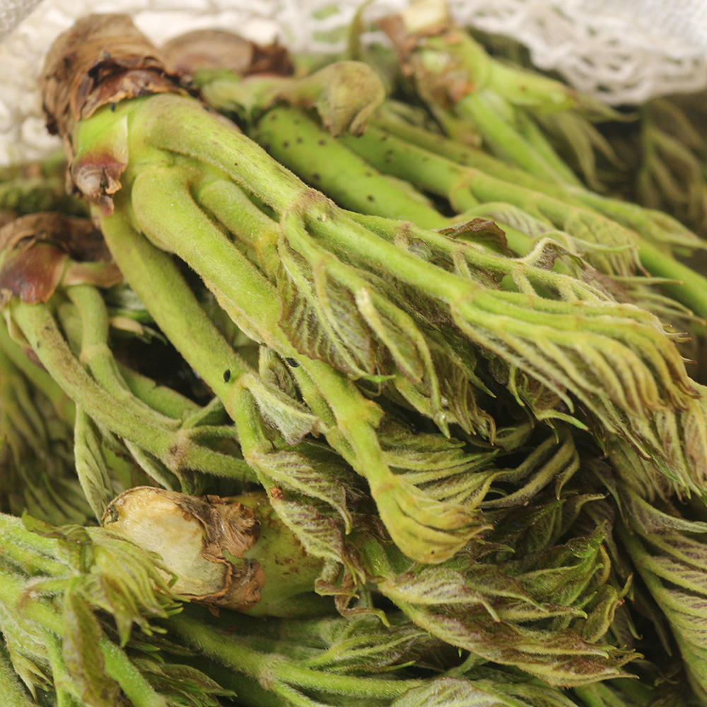 산엔청쇼핑몰,산청장희딸기 350g,500g _우리농원