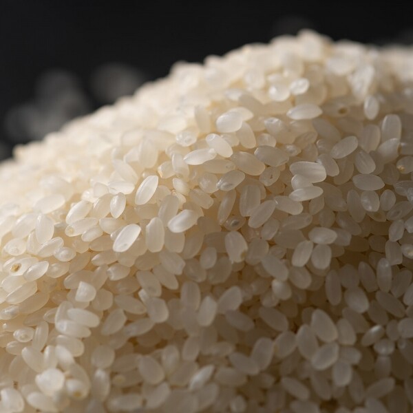 산엔청쇼핑몰,[우리쌀기획전] 23년 햅쌀 차황논고동쌀 (무농약) 10kg _산청군농협