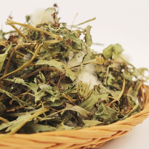 산엔청쇼핑몰,산청장희딸기 350g,500g _우리농원