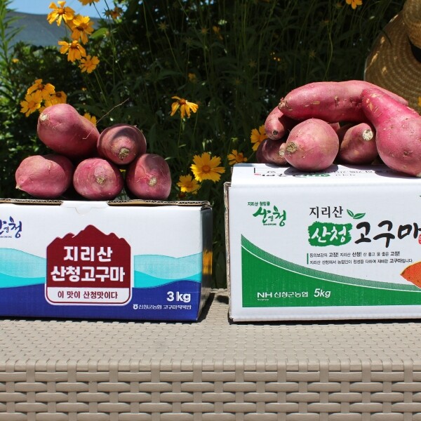 산엔청쇼핑몰,[2025 설기획전] 지리산 꿀고구마 2.5kg/5kg _㈜누리