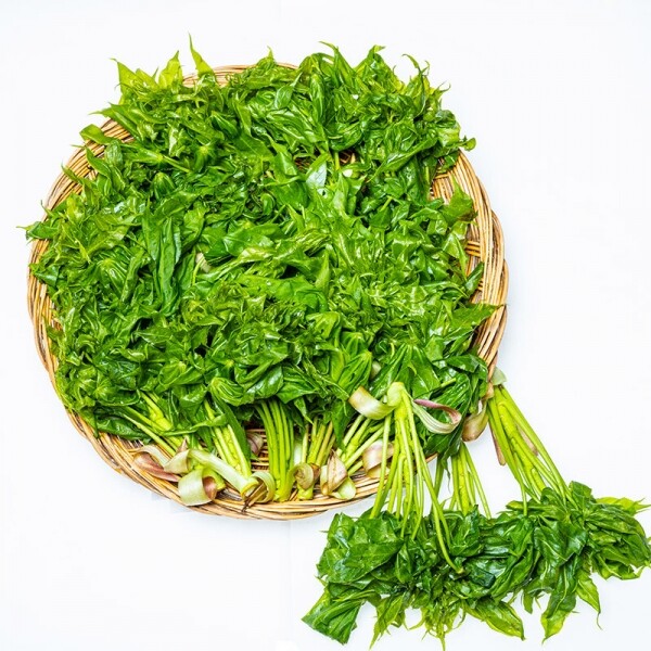 산엔청쇼핑몰,산청장희딸기 350g,500g _우리농원