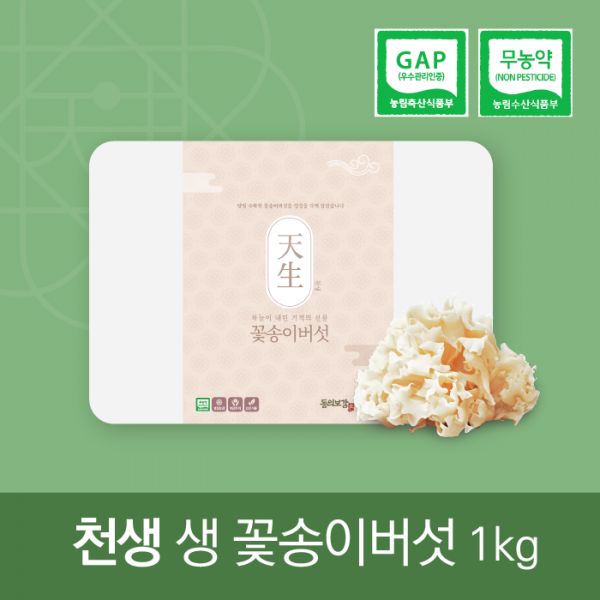 (오픈마켓전용) 천생 생 꽃송이 버섯 1kg _그린파워씨앤에스