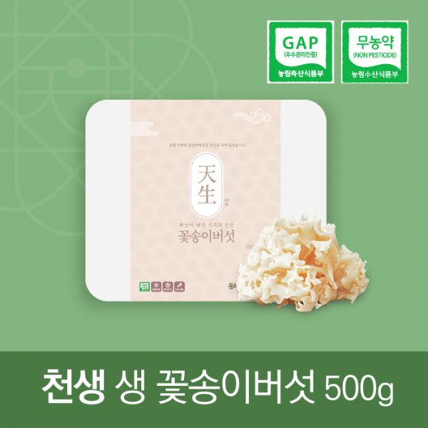 (오픈마켓전용) 천생 생 꽃송이 버섯 500g _그린파워씨앤에스