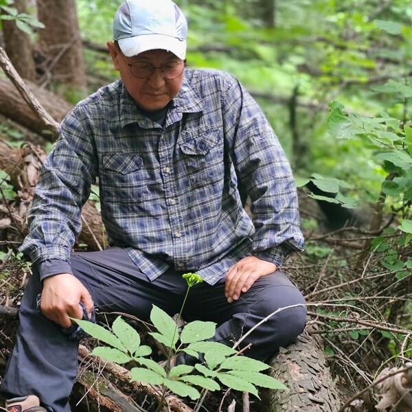 산엔청쇼핑몰,지리산 심마니 수제 연잎밥 _약초애