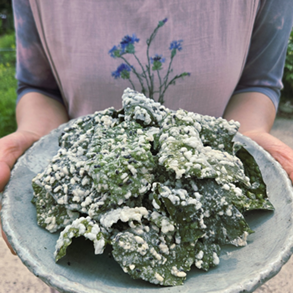 산엔청쇼핑몰,산청장희딸기 350g,500g _우리농원