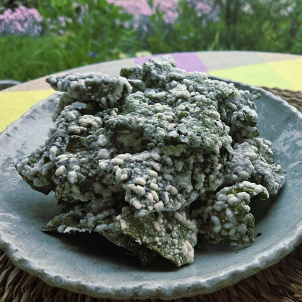 산엔청쇼핑몰,산청장희딸기 350g,500g _우리농원
