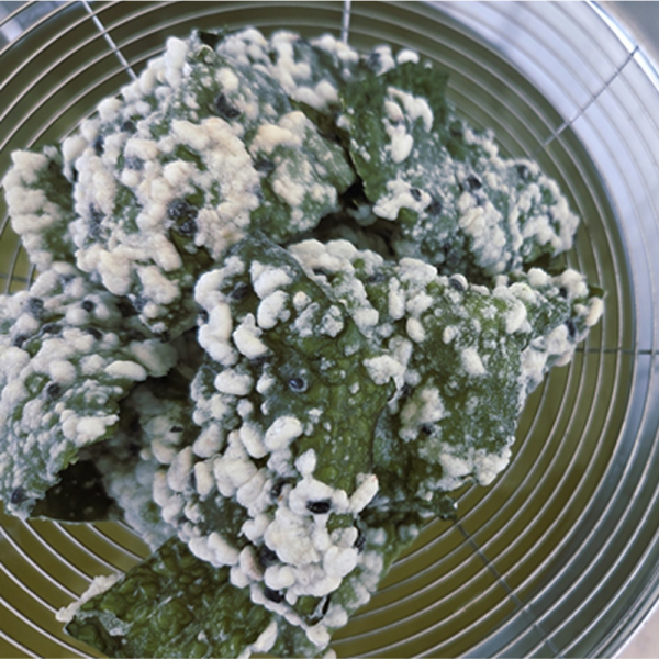 산엔청쇼핑몰,산청장희딸기 350g,500g _우리농원
