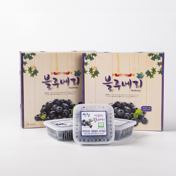 산엔청쇼핑몰,[순차발송] 블루베리생과 2kg (16mm 이상 대/특 사이즈 혼합)_땅골농원