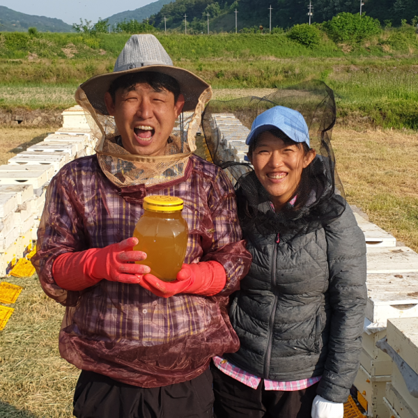 산엔청쇼핑몰,지리산 천연벌꿀 2종/3종 세트 _ 지리산담쟁이농원