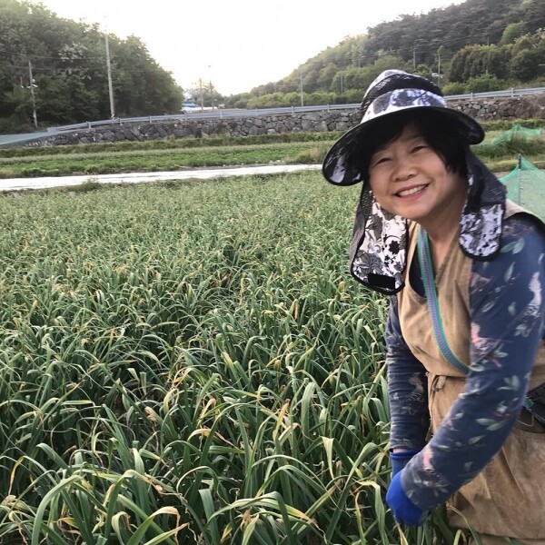 산엔청쇼핑몰,마늘, 마늘쫑 장아찌 100g / 300g _ 이혜령발효정원