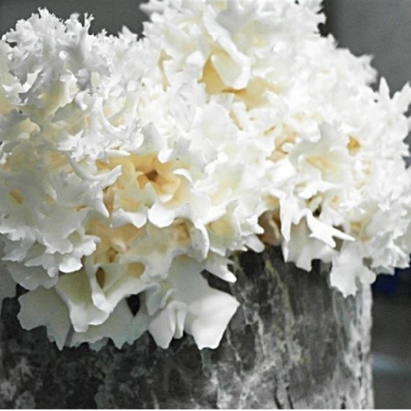 산엔청쇼핑몰,산청장희딸기 350g,500g _우리농원