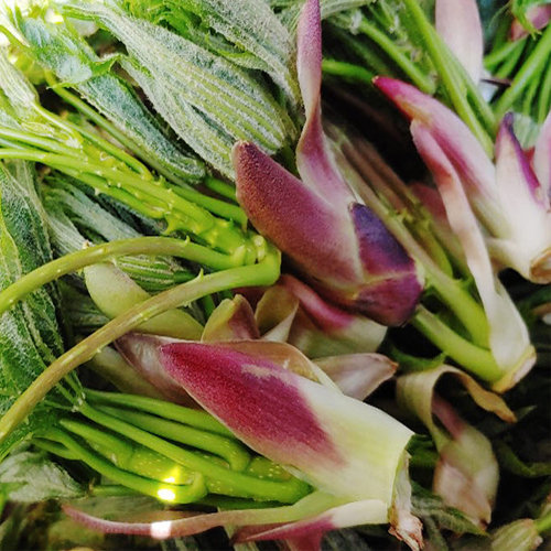 산엔청쇼핑몰,산청장희딸기 350g,500g _우리농원